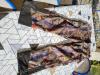 Vêtements de chasse