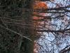 Coucher de soleil