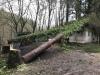 Degats anti chasse sur cabne