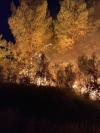 Près du départ de feu