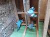 Sujet travail