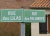 Qui veut habiter dans cette rue
