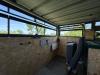 Travaux cabane