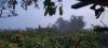 Matin humide