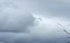Un nuage palombe