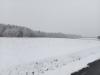 Première neige