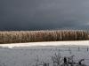 Ciel de neige