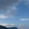 Migration mars