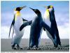 test de photo