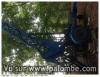 Photo petites annonces