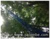Photo petites annonces