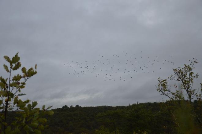 20231103213320dsc_0026.jpg