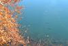 lac pavin