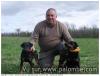 jagd terrier