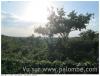 Vue taille sud ouest