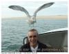 Philippe B33
