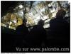 Visite palombière