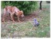 Pouce !!