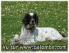ma tricolore 4 ans 1/2