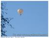 Migration Mgf