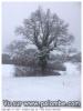 neige