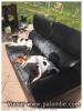 Mode repos