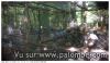 pigeonnier
