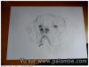 Dessin (crayon à papaier)