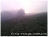 brouillard