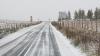 Première neige