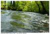 Riviere