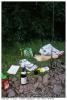 barbeuk