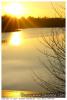 paysage
