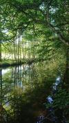 ombré de riviere