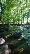 aux milieu coule une riviere
