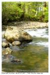 Les rives