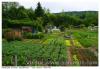 Jardins