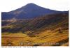 Cantal