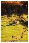 Cantal