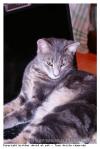 Cachou!!