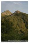 Paysage