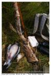 Chasse