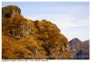 Cantal