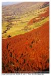 Cantal