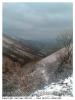 COL D'OSQUICH