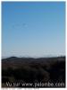 Retour d hivernantes