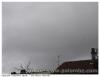 Grues