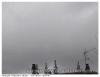 Grues