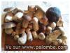 Légumes des bois