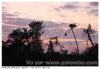 Palombes reserve